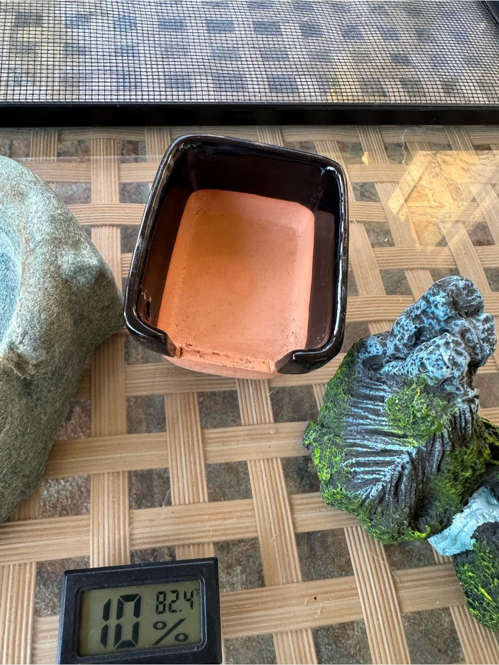 Reptile Terrarium Decor & Supplies Bundle